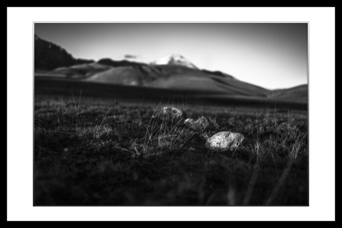Come una Pepita - immagine 2