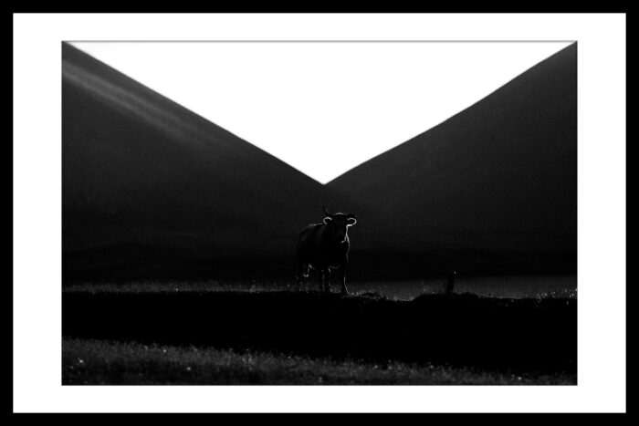 Geometrie Selvagge - immagine 2